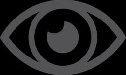 vision